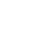 Icon Webcam